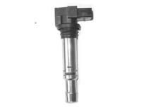 Dry Ignition Coil