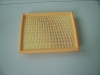 Auto Air Filters