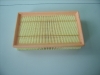 Auto Air Filters