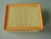 Auto Air Filters
