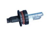 HID Xenon & Halogen Lamp (9004-2)