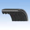 Poly-Rib Belt