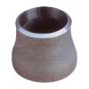 Stainless Steel Seamless / Welded Fittings