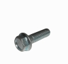 Flange Bolt