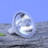 Mr11 Halogen Lamp