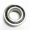 Double Row Angular Contact Ball Bearing