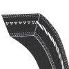 Common V-Belt