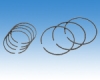 Piston Ring