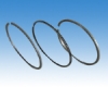 Piston Ring