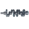 Crankshaft C190