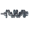 Crankshaft 4Jb1