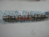 Camshaft For Damas