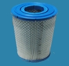 Air Filter DZ116AB