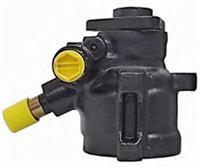 Ford Power Steering Pump