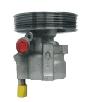 Renault Power Steering Pump