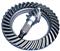 153 Spiral Bevel Gear (2402D-021)