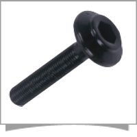 Brake Drum Adjust Screws