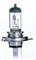 Bulb (H4)