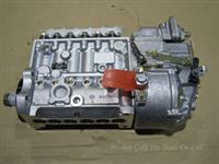 High Pressure Fuel Pump