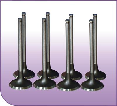 Valve In & Ex series