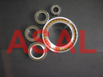 SL045008 PP NR ,cylindrical Roller Bearing With Snap Ring