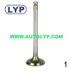 Intake & Exhaust Valve