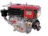 Electric diesel engine with water cooling