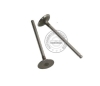 Intake Valve For DAEWOO