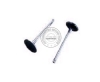 intake valve for DAEWOO