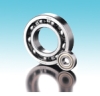 RMS/RLS4 2RS Bearings