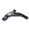 WT-M003-1 Control Arm
