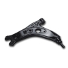 WT-W017 Control Arm