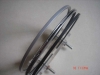 Piston Ring  PAYKAN Series