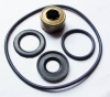 Seal  Kit For Pump  Of  KAMAZ