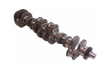 Crankshaft 3304 For CAT 3Y1613