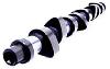 Cummins 6BT Camshaft  3914639,3949042