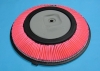 Air Filter 16546-77A10