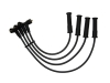 Ignition Cable Set