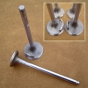 Engine Valves