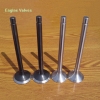 Engine Valves