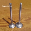 Engine Valves