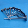 Engine Valves