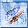 Universal 1 Wire Oxygen Sensor