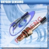 Universal 2 Wire Oxygen Sensor