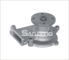 RSK-N110 Water Pump 21010-0M300