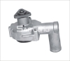 RSK-F104 Water Pump 5005197