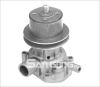 Rsk-re117 Water Pump 5000248443