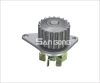 RSK-C102 Water Pump CITROEN
