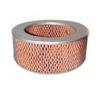 Auto Air Filter-Auto Parts