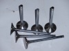 Intake Valve